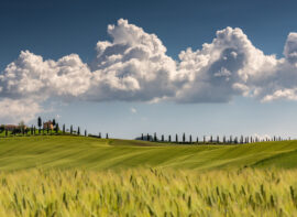 Numanity Umbria